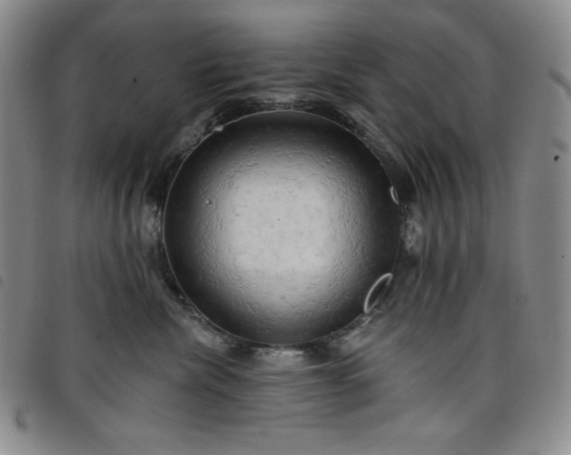 X0000098130476200804241654