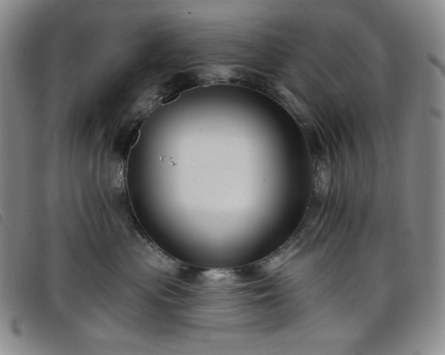X0000098130477200804241654
