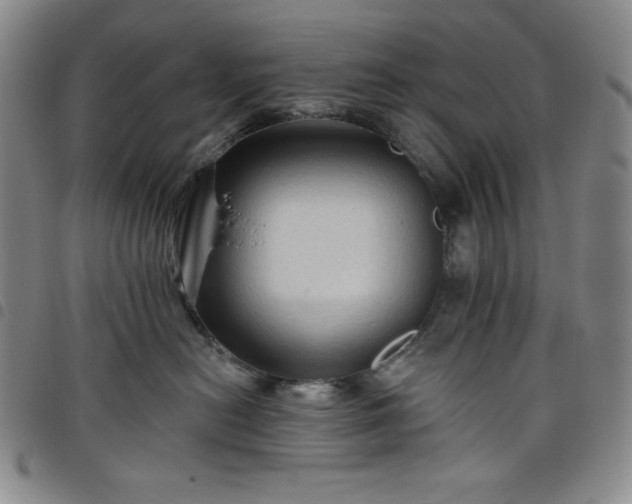 X0000098130478200804241654