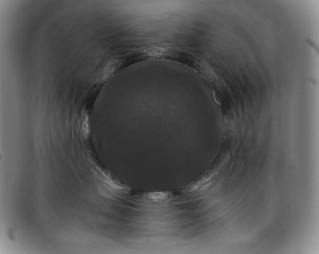 X0000098130479200804241654