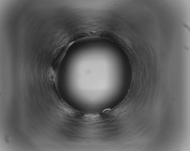 X0000098130480200804241654