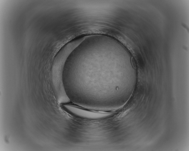 X0000098130481200804241653