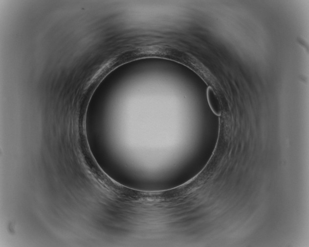 X0000098130482200804241653