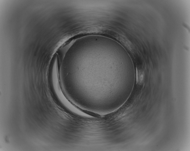 X0000098130483200804241653
