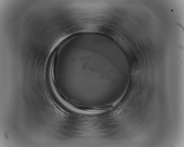 X0000098130484200804241653