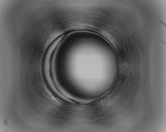 X0000098130485200804241653