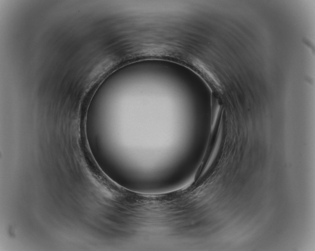 X0000098130486200804241653