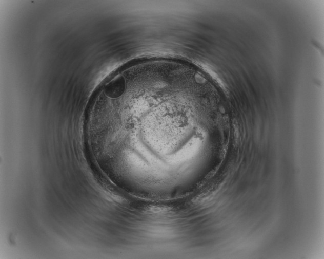 X0000098130487200804241653