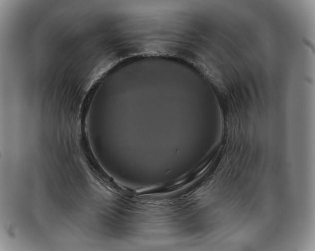 X0000098130488200804241653