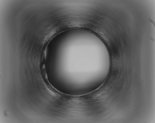 X0000098130489200804241653