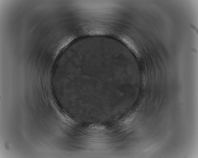 X0000098130491200804241653