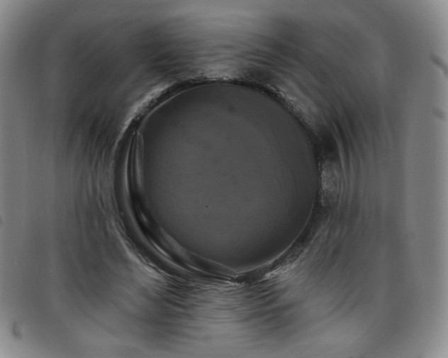 X0000098130492200804241653