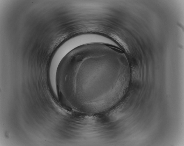 X0000098130493200804241653