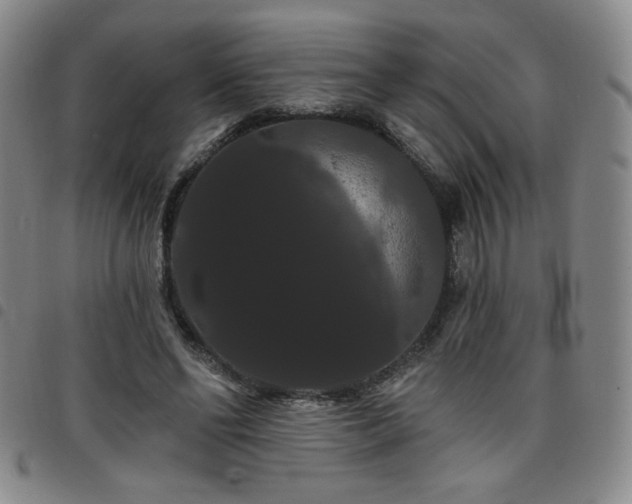X0000098130494200804241653