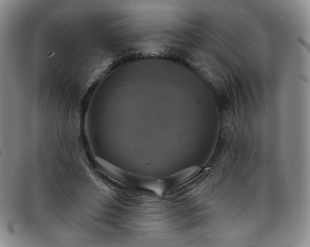 X0000098130496200804241653