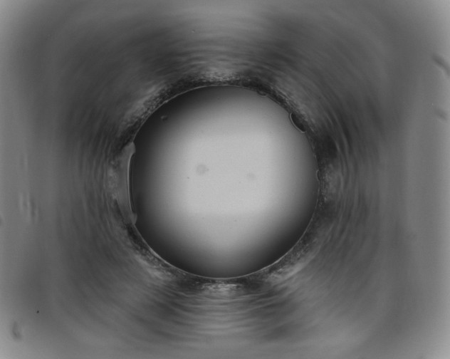 X0000098130497200804241653