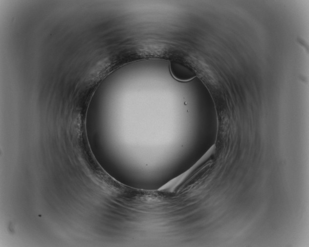 X0000098130498200804241653