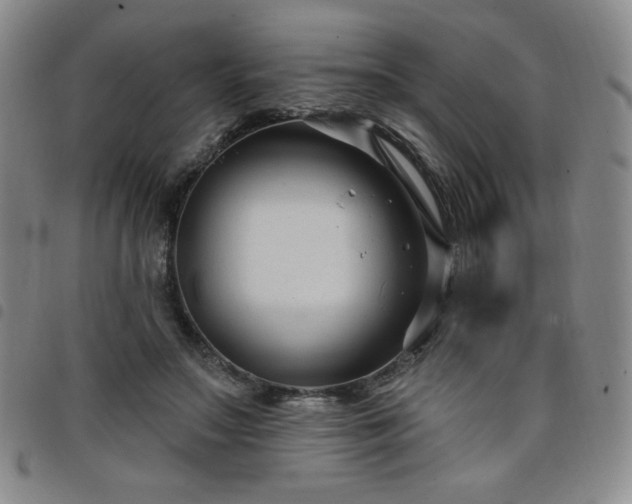 X0000098130499200804241653