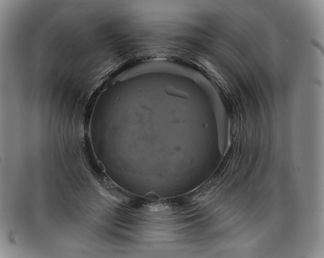 X0000098130500200804241653