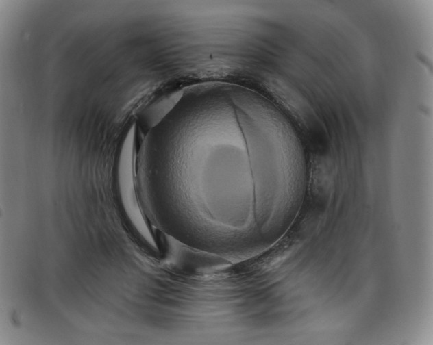 X0000098130501200804241653