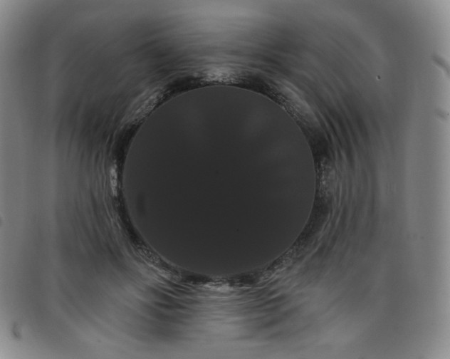 X0000098130502200804241653