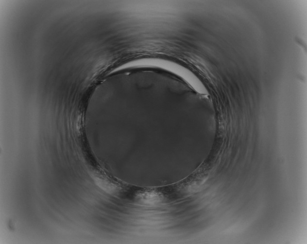 X0000098130503200804241653