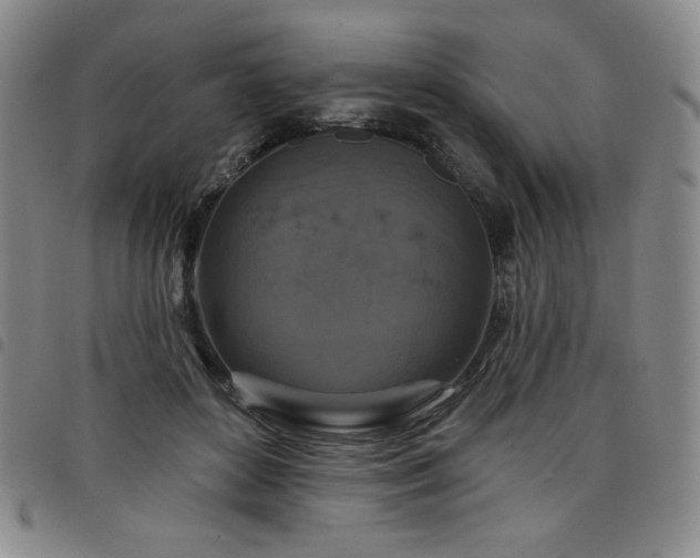 X0000098130504200804241653
