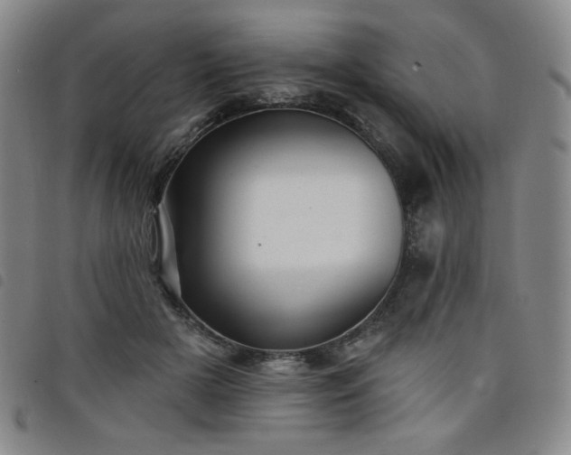 X0000098130505200804241653