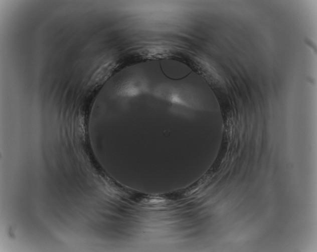 X0000098130506200804241653