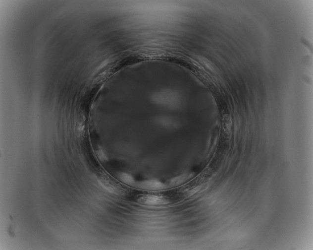 X0000098130507200804241653