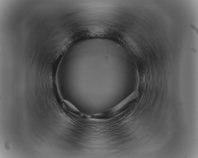 X0000098130508200804241653