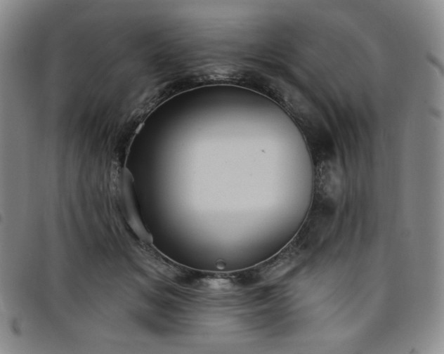 X0000098130509200804241653