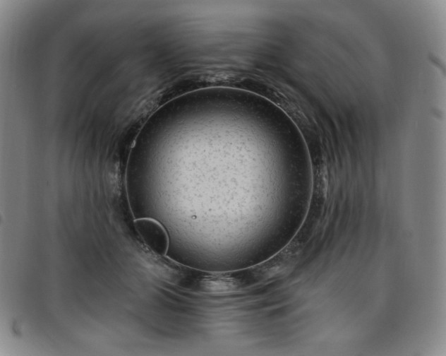 X0000098130510200804241653