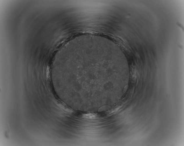 X0000098130511200804241653