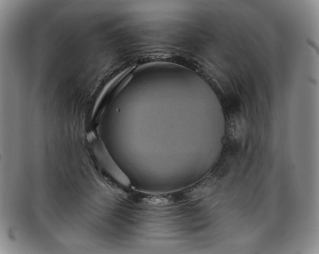 X0000098130512200804241653