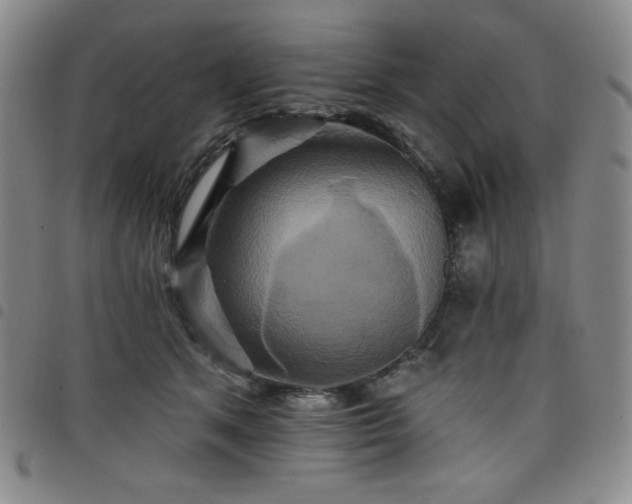 X0000098130513200804241653