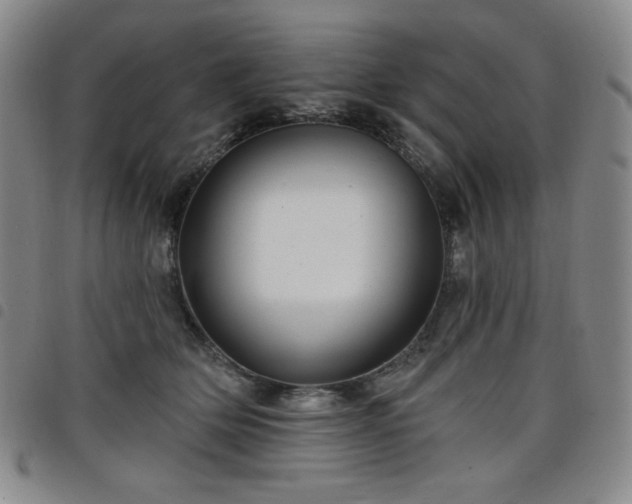 X0000098130514200804241653