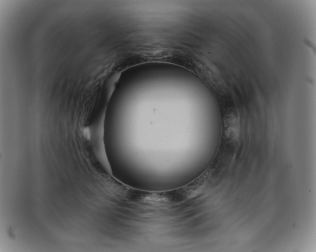 X0000098130515200804241653