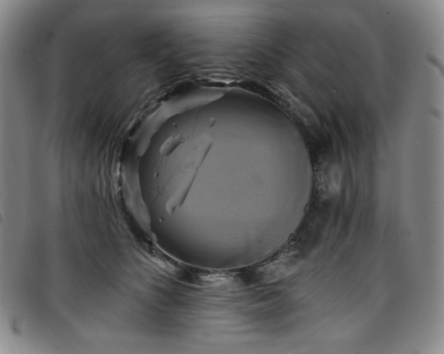 X0000098130516200804241653