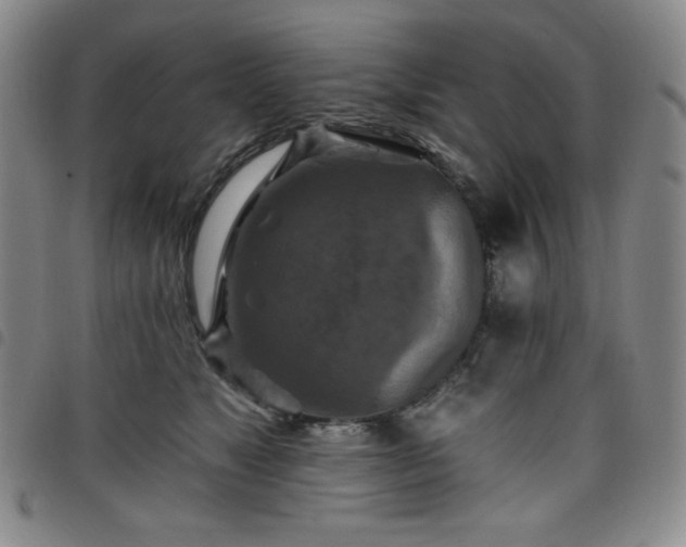 X0000098130517200804241653