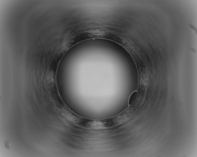 X0000098130518200804241653