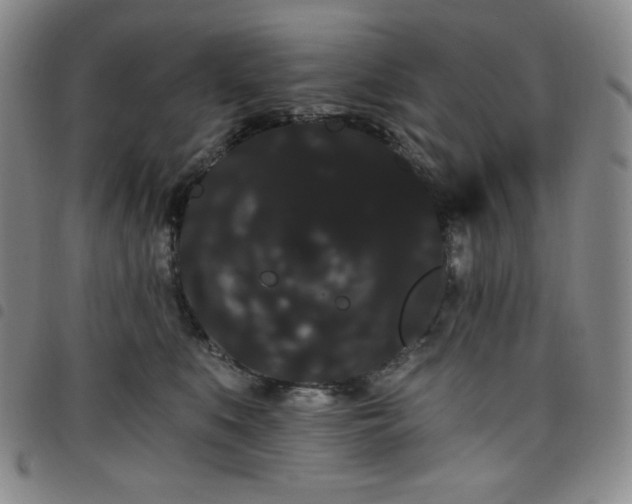 X0000098130519200804241653
