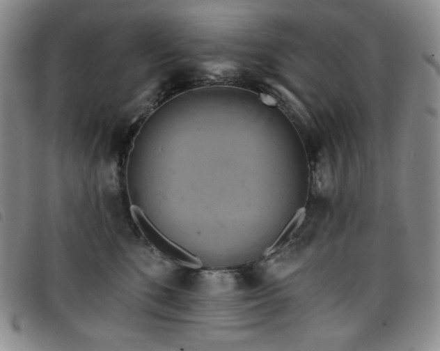 X0000098130520200804241653