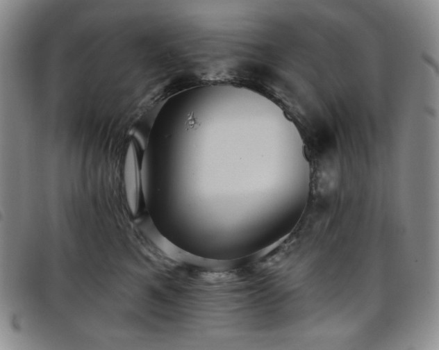 X0000098130521200804241653
