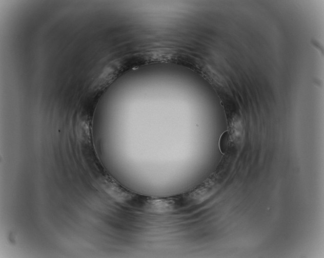X0000098130522200804241653