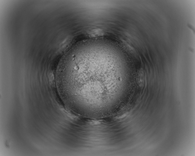 X0000098130523200804241653
