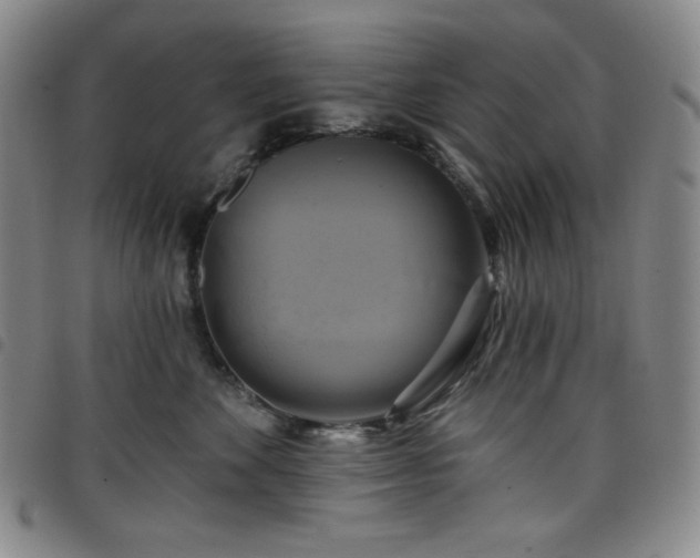 X0000098130524200804241653