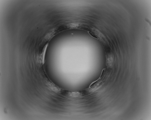 X0000098130525200804241653
