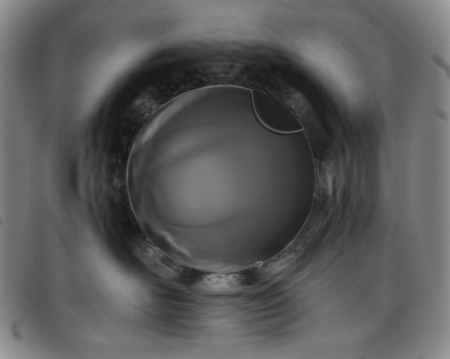 X0000098130526200804241653