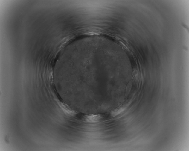 X0000098130527200804241653